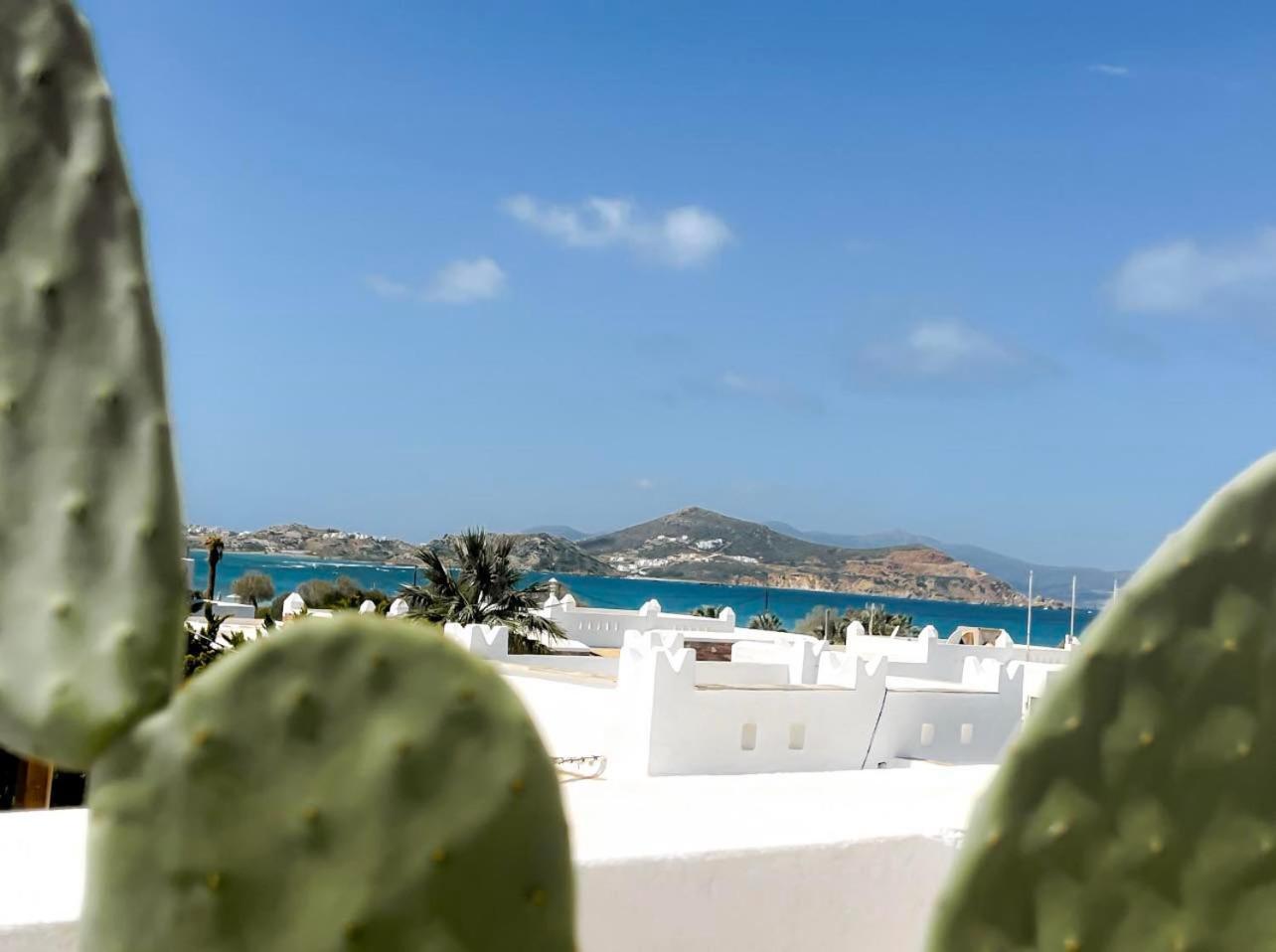 Sea View Casa Apartman Naxos City Kültér fotó